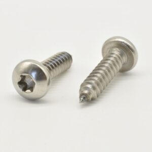 Skruv Cylinderhuvud Torx 100 st